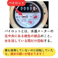 画像260