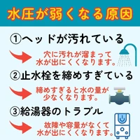 画像284