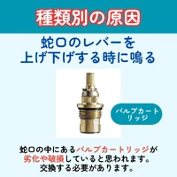 画像305
