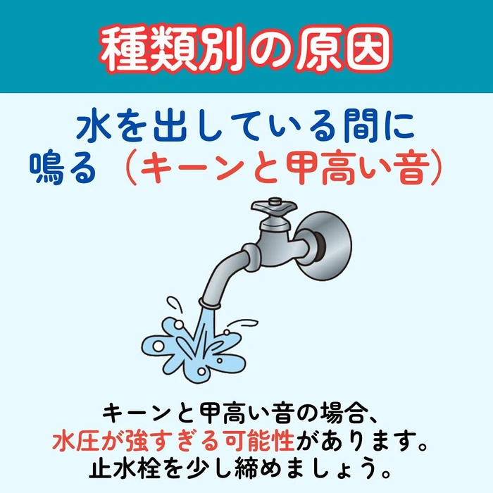 画像306