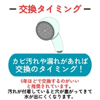 画像313